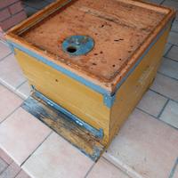 Arnie da 12 con melari