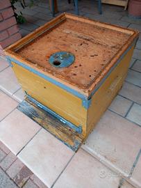 Arnie da 12 con melari