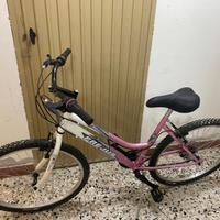 Bicicletta  mountain bike