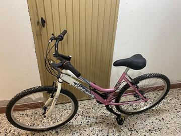 Bicicletta  mountain bike