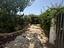 Immagine 7