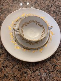 Royal Worcester  Saguenay Dinner set