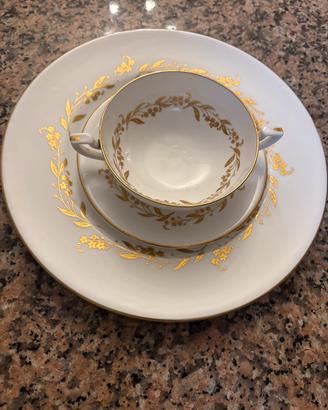 Royal Worcester  Saguenay Dinner set