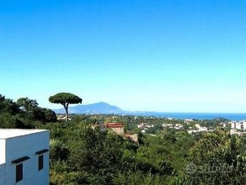 Pozzuoli terreno agricolo panoramicissimo