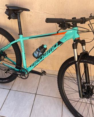 bici da mountainbike taglia L
