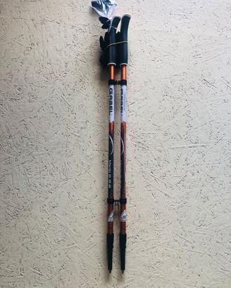 Bastoncini da Nordic Walking Gabel