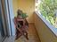 Immagine 12