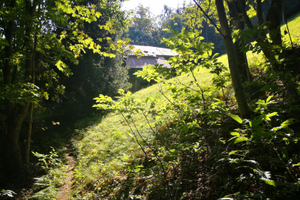Vendita x amanti natura Baita tipica valtellinese