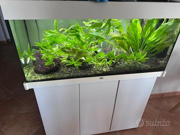 Acquario jwell 180 l