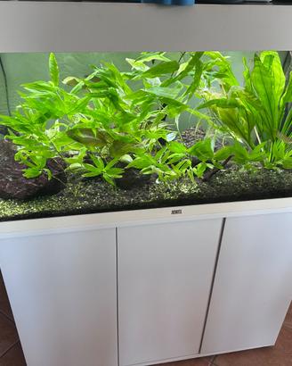 Acquario jwell 180 l