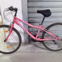 Bici mountain bike, una per ragazza e una ragazzo