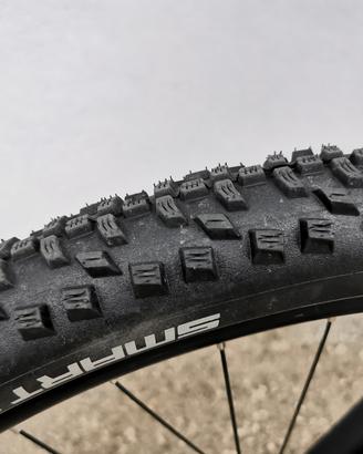 copertoni ebike scwable smart sam plus 57-622