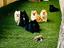Immagine 6