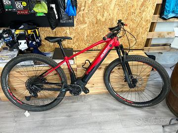 Ebike 29 polini olmo