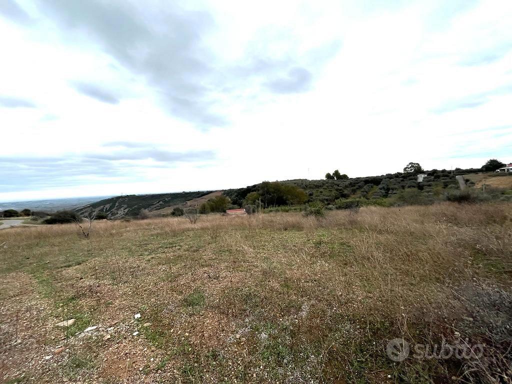 Lotto agricolo - Pisticci - Vista 3
