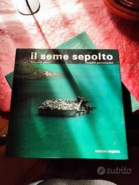 Il seme sepolto - di Gianfranco Bini