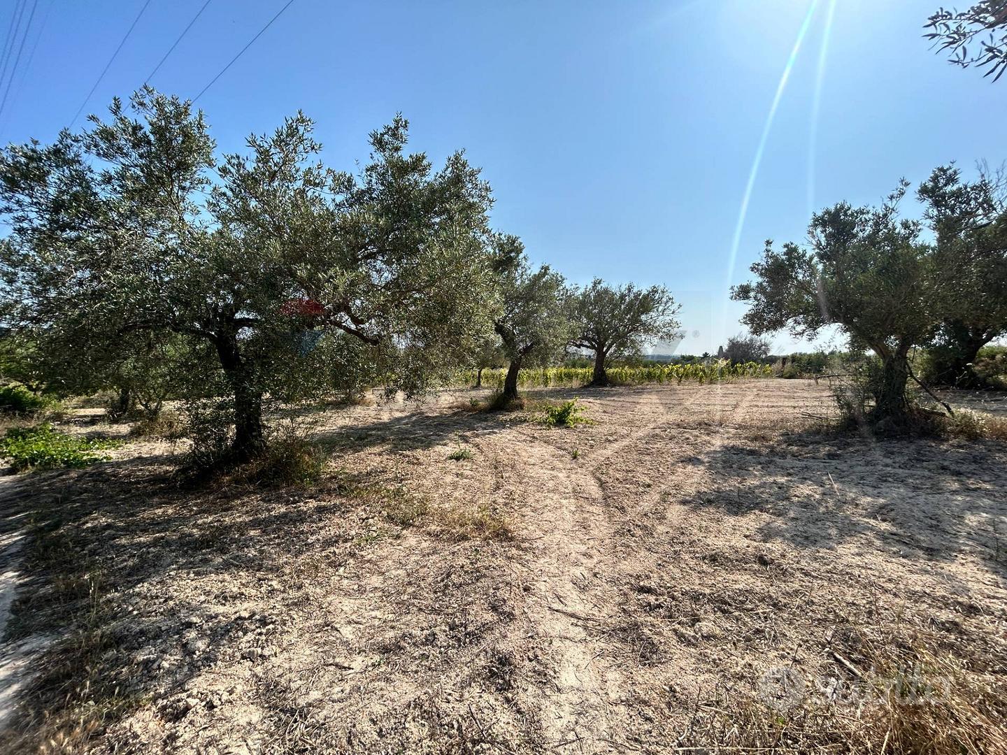 Terreno - Noto - Altro