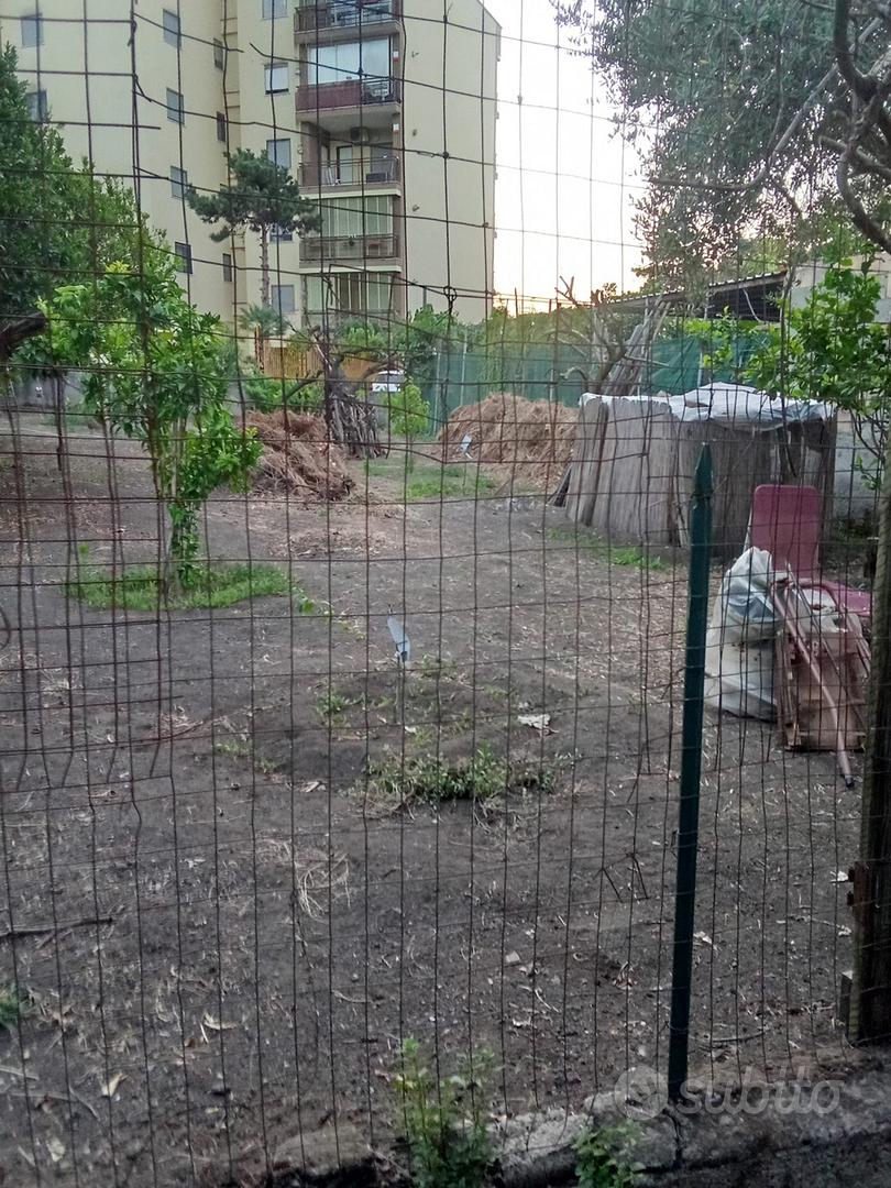 Terreno agricolo - Vista 3