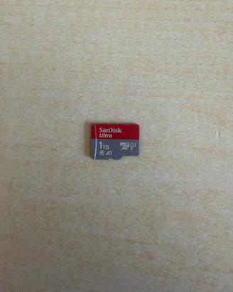 Sandisk MicroSD 1TB