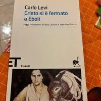 Cristo si è fermato a Eboli di Carlo Levi