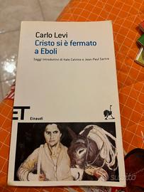 Cristo si è fermato a Eboli di Carlo Levi