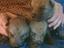 Immagine 1