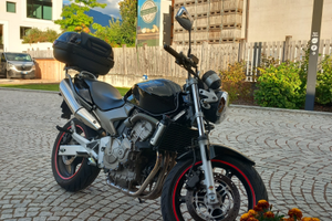 Honda hornet 600