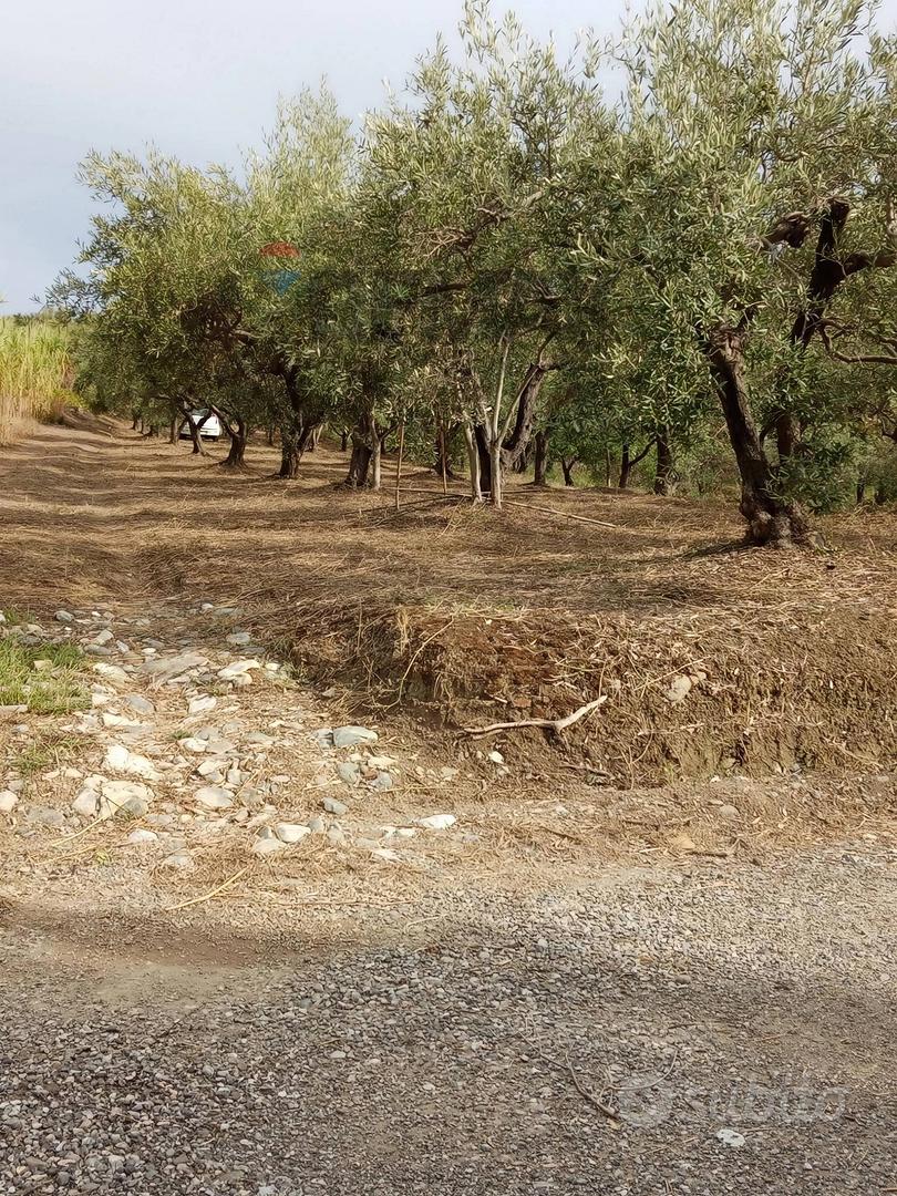 Terreno - Barcellona Pozzo di Gotto - Vista 4