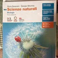 libro del biennio del liceo artistico 