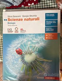 libro del biennio del liceo artistico 