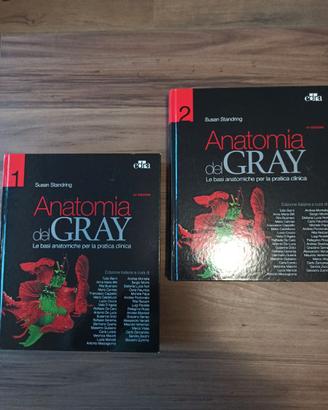 Anatomia del Gray - 41°edizione - 2 Volumi