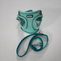 pettorina tg.xs + guinzaglio turchese