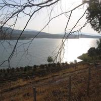 5 ettari in riva al lago + rudere antico baglio