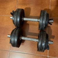 Coppia manubri 24 kg