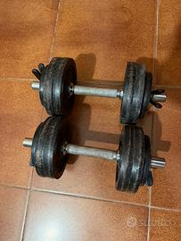 Coppia manubri 24 kg