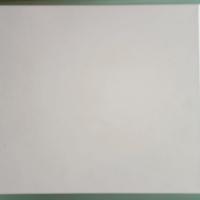 Risco centrale Prosys 8-16 zone