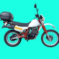 Honda XL 600 R - 1986