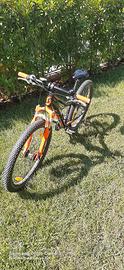 Mtb bambino