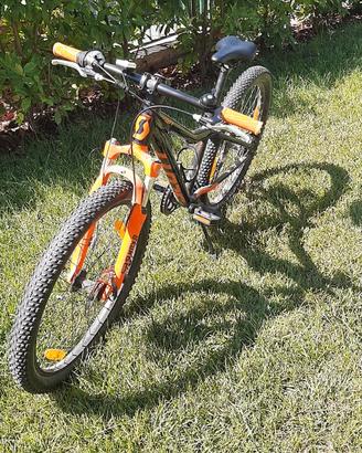 Mtb bambino