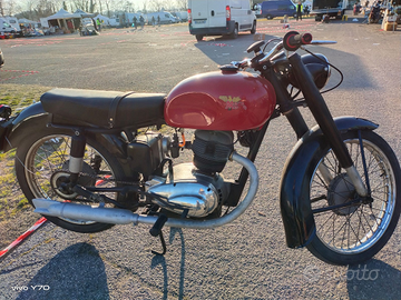 Morini 175 1955