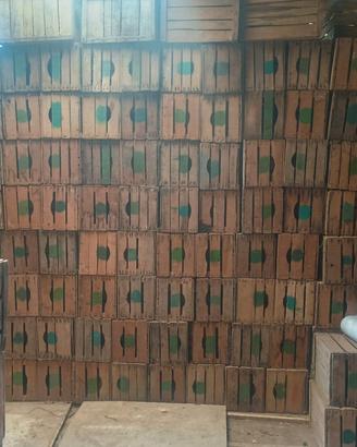 Casse di legno frutta