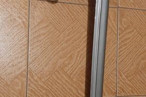 Carter paracatena Harley