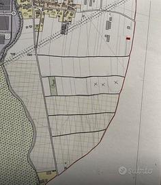 Terreno agricolo di 10.818 mq ben irrigato