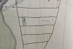 Terreno agricolo di 10.818 mq ben irrigato