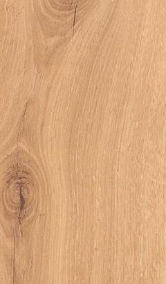 Gres porcellanato effetto legno 23X120