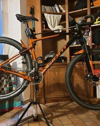 i MTB Giant XTC
