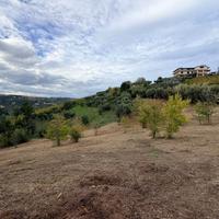 Terreno via feudo Bucchianico