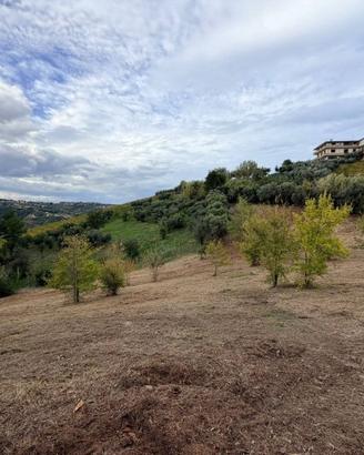 Terreno via feudo Bucchianico