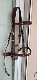 Testiera Selleria Spanu