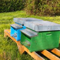 Arnie, famiglie e materiale apicoltura